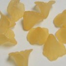 Hand Dyed 12mm Champagne Lucite Iris Flowers (ri12mm5)