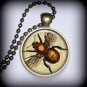 Bumble Bee Pendant Charm, Resin Necklace, Insect Pendant, Necklace Pendant (p82)