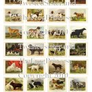 Vintage Dog Prints Collage Sheet - Pick 1 of 2 - Dogs or Scottie Dogs
