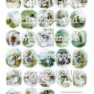 Beatrix Potter - Pick 1 of 4 - Mrs Tiggy Winkle, Jeremy Fisher, Ginger & Pickles