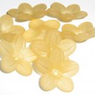 Hand Dyed 20mm Champagne Lucite Daisy Flowers (df20mm5)