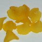 Hand Dyed Sunflower Ruffled Iris Flowers (ri12mm22)