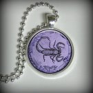 Scorpion Pendant Charm, Resin Necklace, Halloween Pendant, Necklace Pendant p101