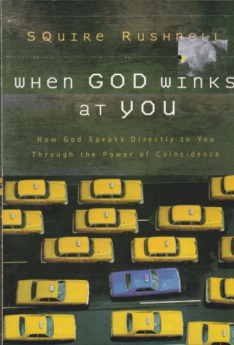 When God Winks At You (paperback)