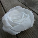 White Paper Rose