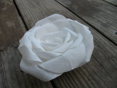 White Paper Rose