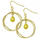 Golden Orbit Wire Earrings