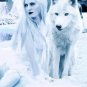 Looking Ahead, ( what is coming up for me)-