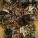 Waltz Ruffle Scarf