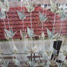 ORIGAMI CRANES GARLANDS GREY AND PATTERN PRINT OF 100 STRANDS