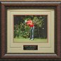Rory McIlroy 2012 PGA Champion 11x14 Photo Framed