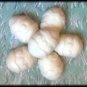 Peanut butter eggs dozen.in box choice white ir mil