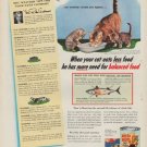 1954 Puss 'n Boots Ad "balanced food"