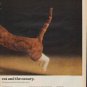 1971 Sylvania Ad "cat and the canary"