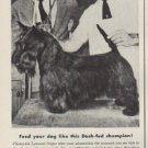 1952 Dash Dog Food Ad "Feed your dog"
