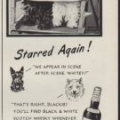 1952 Fleischmann Ad "Starred Again"