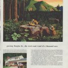 1958 Weyerhaeuser Ad "growing Douglas fir"