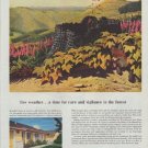 1958 Weyerhaeuser Timber Company Ad "fire weather"