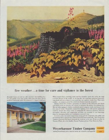 1958 Weyerhaeuser Timber Company Ad "fire weather"