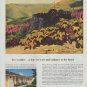 1958 Weyerhaeuser Timber Company Ad "fire weather"