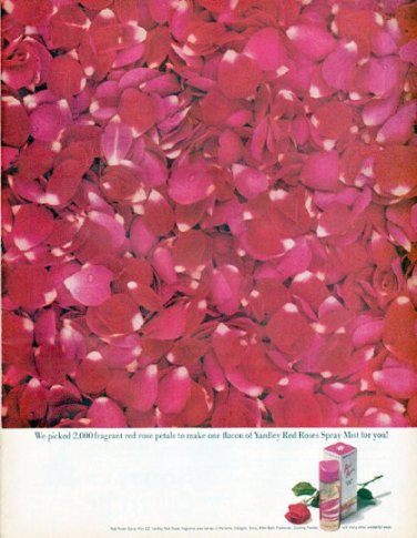 1961 Yardley Ad "2,000 fragrant red rose petals"