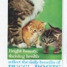 1961 Puss 'n Boots Cat Food Ad "Bright beauty"