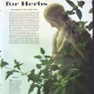 1961 Herbs Article "A New Urge for Herbs"