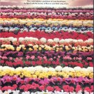 1979 Florists' Transworld Delivery Ad "heaven & nature"