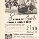 1953 Standard Insurance Company Ad "8 kinds of Apples"  2584