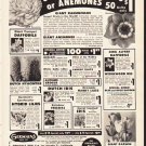 1953 Germain's Ad "Giant Ranunculus"  2625