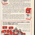 1953 Black Leaf Ad "Kill Crabgrass"  2627