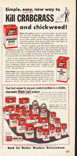 1953 Black Leaf Ad "Kill Crabgrass"  2627