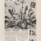 1961 Thoresen Ad "Eats Flies & Insects"  2718