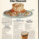 1976 Bisquick Ad "The Economy Presents"