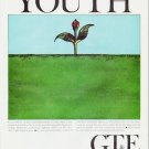 1964 General Telephone & Electronics Ad "Youth"