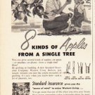 1953 Standard Insurance Company Ad "8 kinds of Apples"