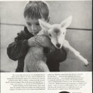 1958 Pfizer Ad "growing up"