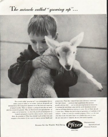 1958 Pfizer Ad "growing up"
