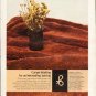 1976 Berven Carpet Ad "Carpet Waiting"