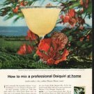 1962 Puerto Rican Rum Ad "a professional Daiquiri"