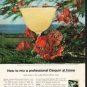 1962 Puerto Rican Rum Ad "a professional Daiquiri"