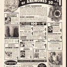 1953 Germain's Ad "Giant Ranunculus"