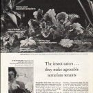 1976 Carnivorous Plants Article "The insect eaters"