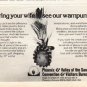 1976 Phoenix Travel Ad "Bring your wife"