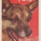 1961 Pard Dog Food Ad "treat the family to beef"