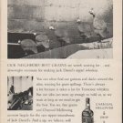 1962 Jack Daniel's Whiskey Ad "Our neighbors' best grains"