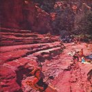 1957 The Face of America Article "Oasis in Arizona"