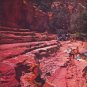 1957 The Face of America Article "Oasis in Arizona"