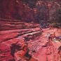 1957 The Face of America Article "Oasis in Arizona"