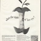 1961 Ladies' Home Journal Ad "apple of her eye"